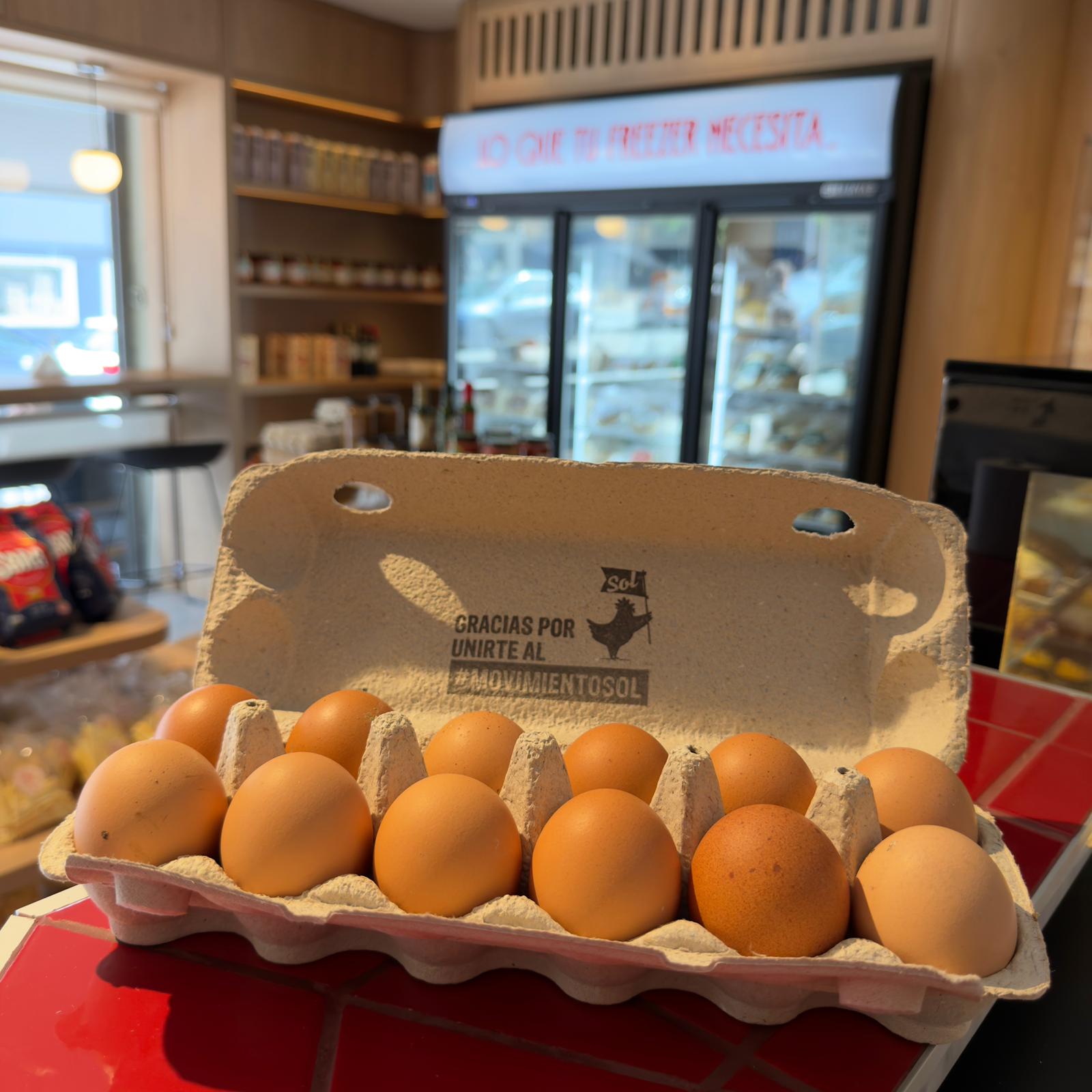 Huevos Sol Pack x12